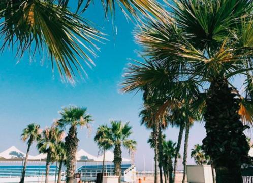 Gregorys Holiday Apartment Larnaca Ngoại thất bức ảnh